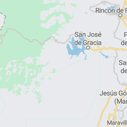 intelligence-light preview